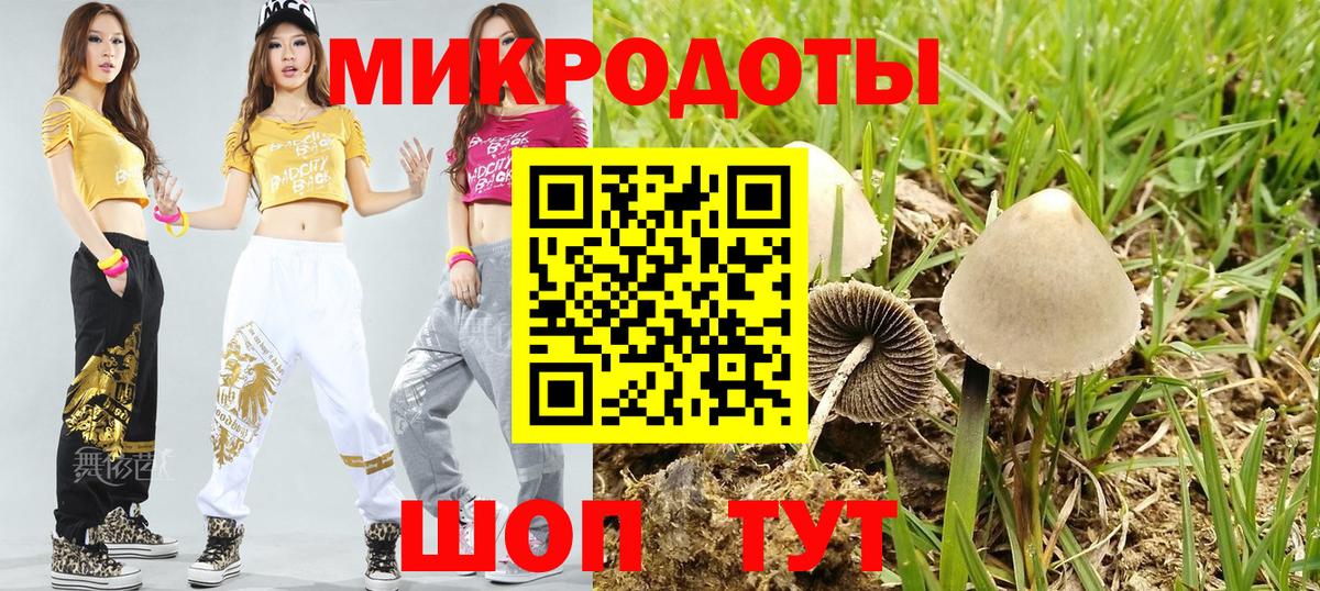 Псилоцибиновые грибы MAGIC MUSHROOMS Донской